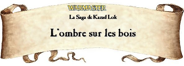 La Saga de Kazad Kok - Une campagne narrative Lyonnaise pour Warmaster