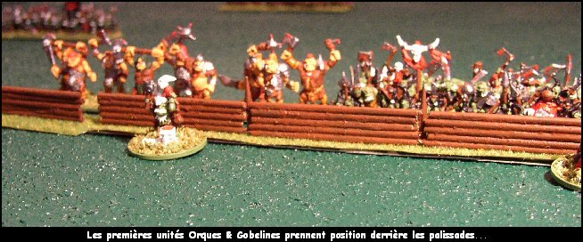 Les premières unités Orques & Gobelines prennent position derrière les palissades