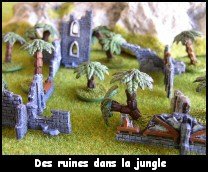 Photo par F. Bruntz