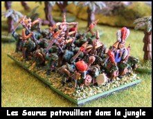 Photo par F. Bruntz